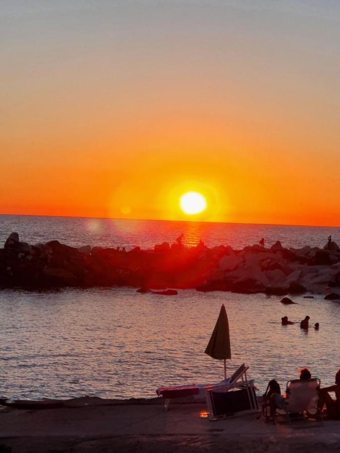 Chalet 4 Or 6 Persons Toscana Viareggio Camping Bosco Verde Italie Torre del Lago Puccini Exterior foto