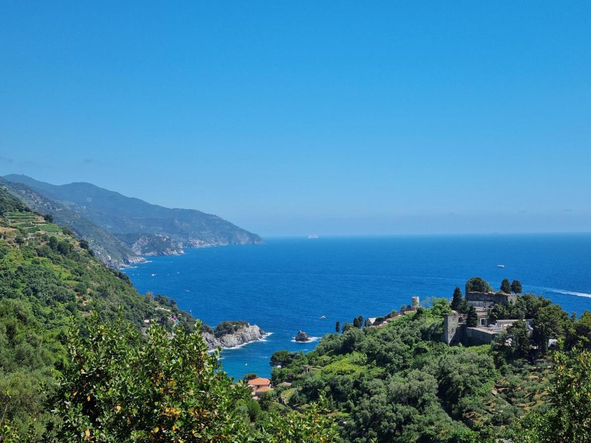 Chalet 4 Or 6 Persons Toscana Viareggio Camping Bosco Verde Italie Torre del Lago Puccini Exterior foto
