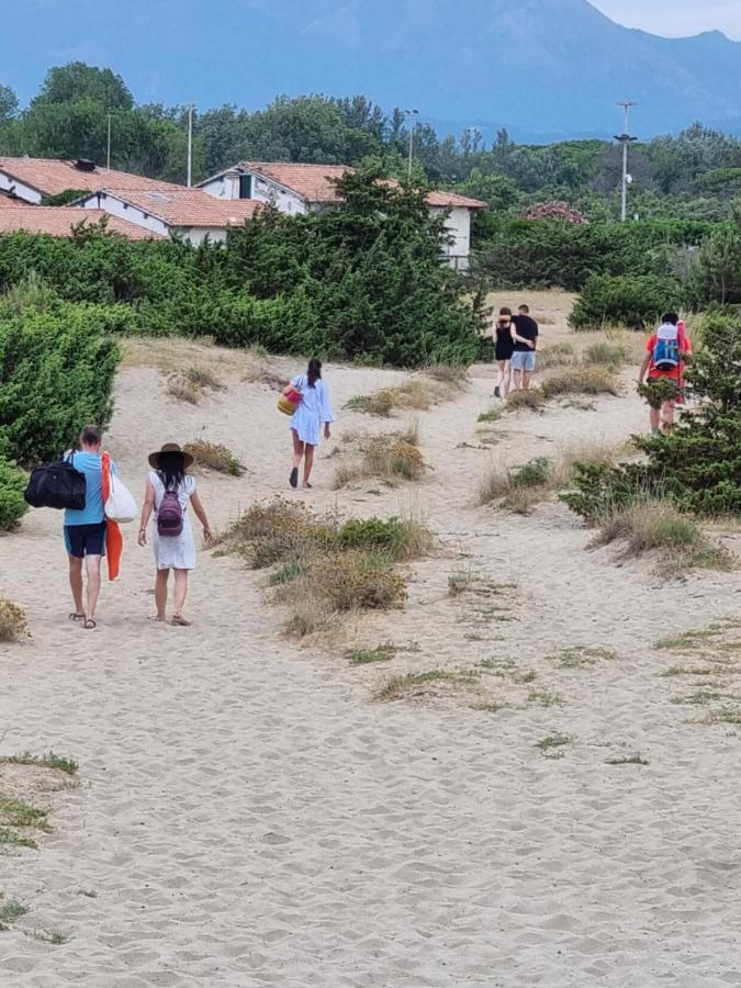 Chalet 4 Or 6 Persons Toscana Viareggio Camping Bosco Verde Italie Torre del Lago Puccini Exterior foto