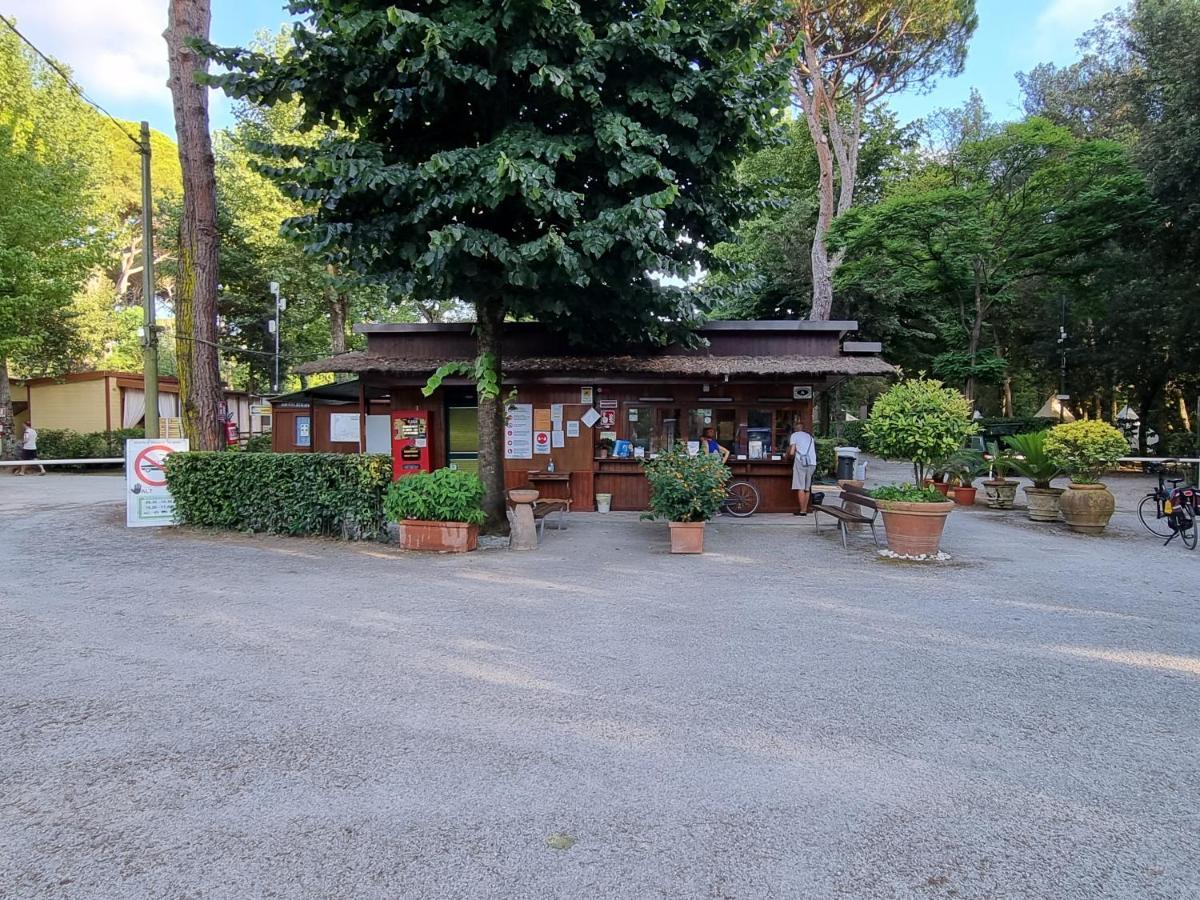 Chalet 4 Or 6 Persons Toscana Viareggio Camping Bosco Verde Italie Torre del Lago Puccini Exterior foto